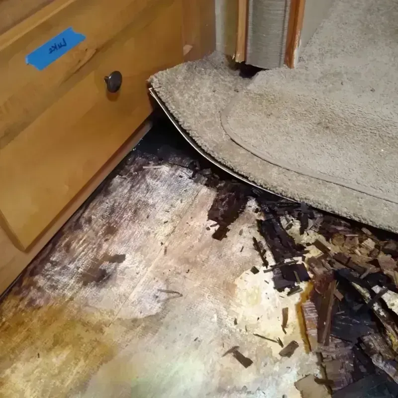 Wood Floor Water Damage in Pinellas County, FL